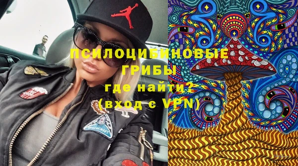 мет Аркадак