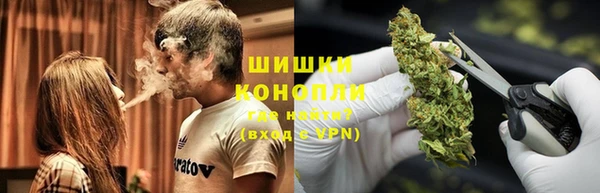 спайс Арсеньев