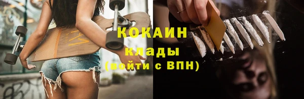 спайс Арсеньев