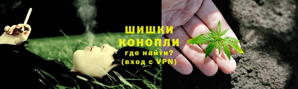 спайс Арсеньев